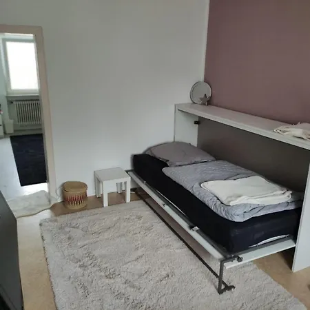 Apartment Gemütliches Frankfurter Adlernest